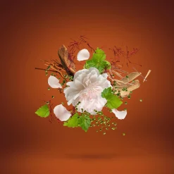 1888 Eau de Parfum 100ml