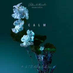 A Balm of Calm Eau de Parfum 100ml