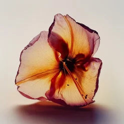 ACT 6 Eau de Parfum 100ml