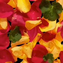 Aroma Eau de Parfum - Body 10ml