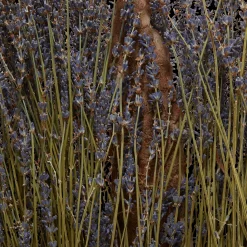 Aroma Eau de Parfum - Soul 10ml