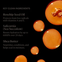 Balmy Tint Hydrating Lip Balm Wanderlust