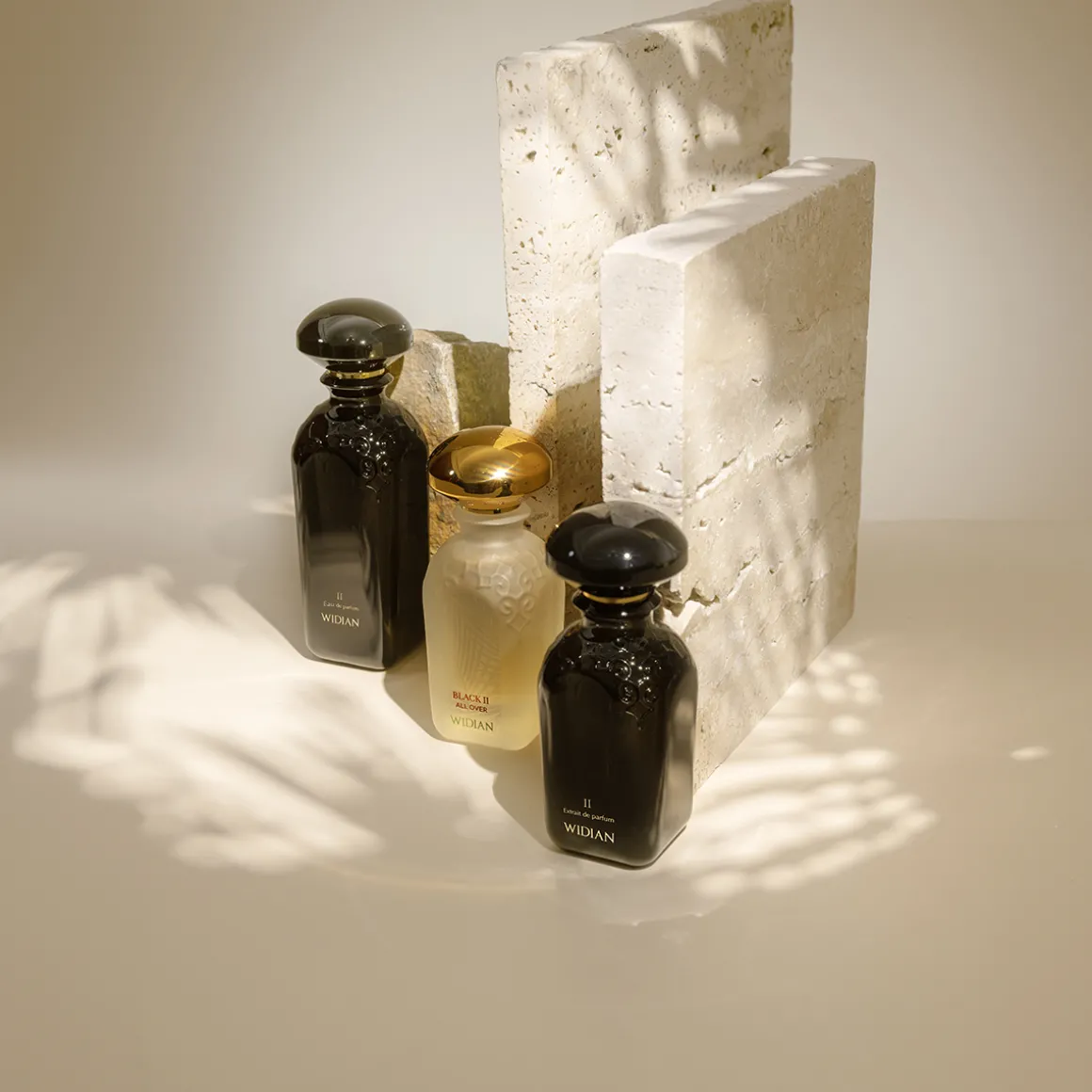 Black II All Over Hair Perfume 50ml