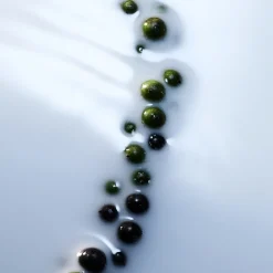 Blanche Absolu Eau de Parfum 100ml