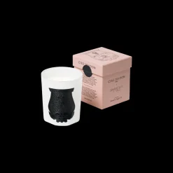 Bougie Giambattista Valli Rose Poivree 270gr