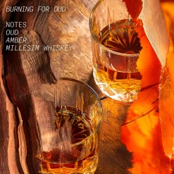 Burning For Oud Eau de Parfum 15ml