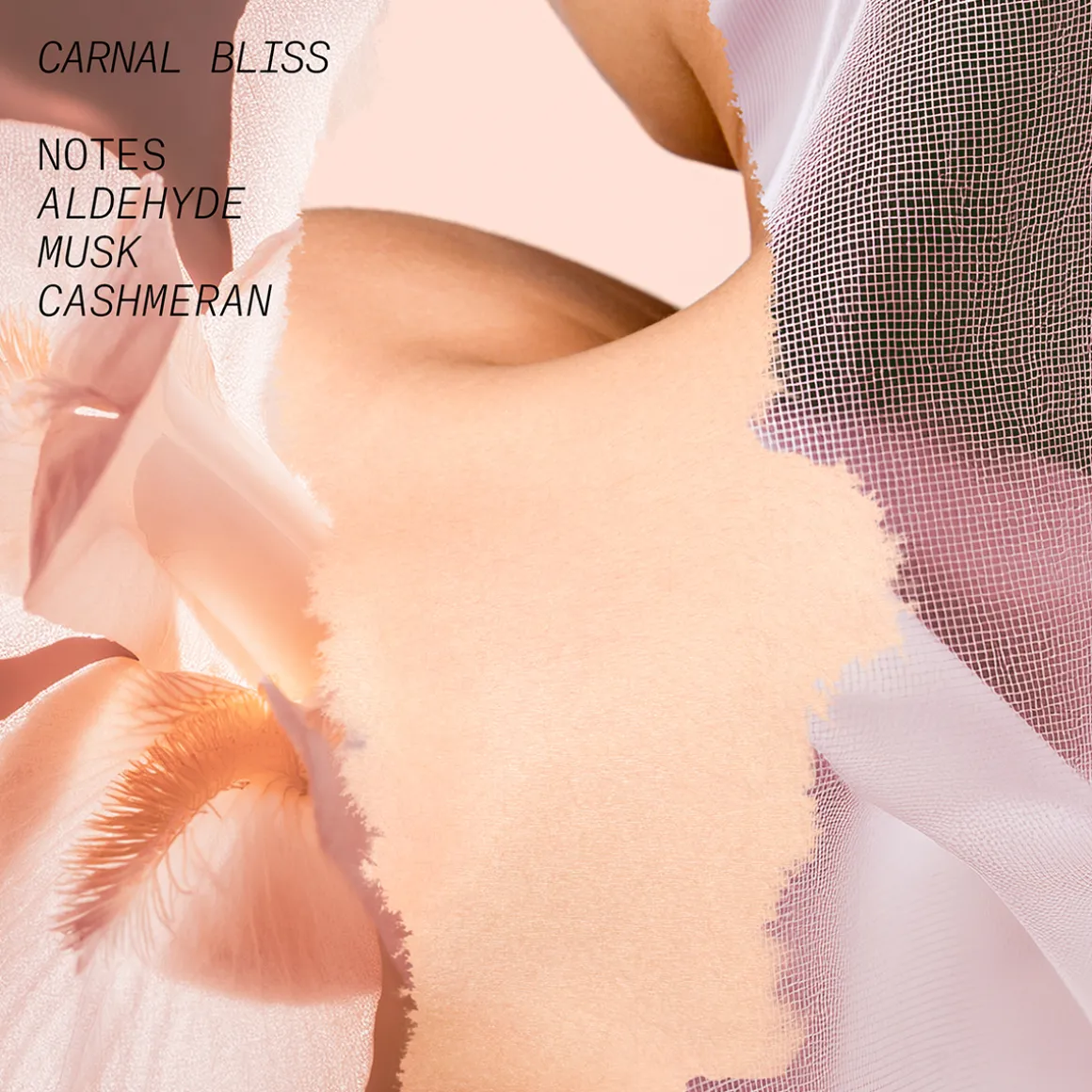 Carnal Bliss Eau de Parfum 15ml