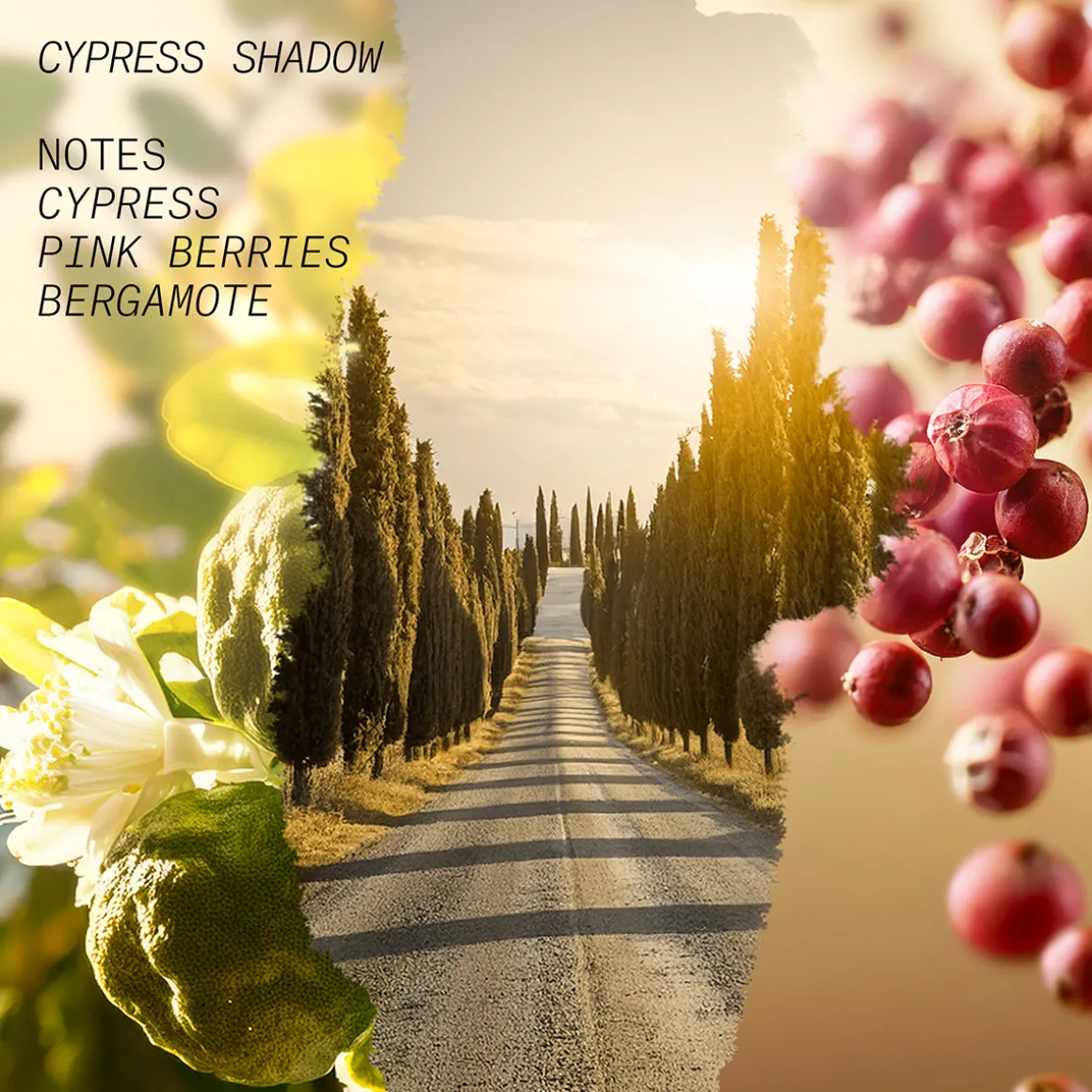 Cypress Shadow Eau de Parfum 15ml