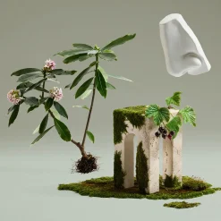 Daphne Bouquet Eau de Parfum 100ml