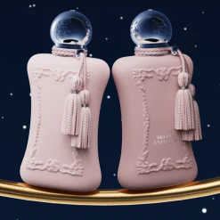 Delina Exclusif Festive 2025 Set