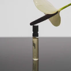 Discovery Set Treasures Collection