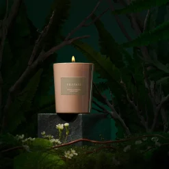 Divina Foresta Scented Candle 180gr
