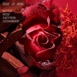 Dose Of Rose Eau de Parfum 100ml