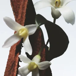 Fleur Du Mal Eau de Parfum 100ml