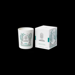 Frisson de Vétiver Scented Candle 180gr