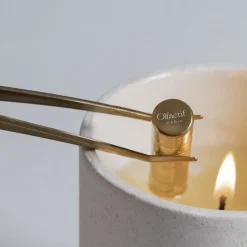 Gemini Wild Berries Scented Candle 240gr