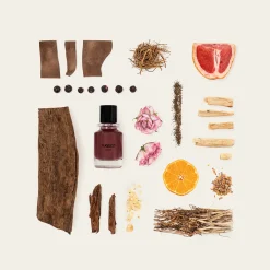 Goudh Extrait de Parfum 50ml