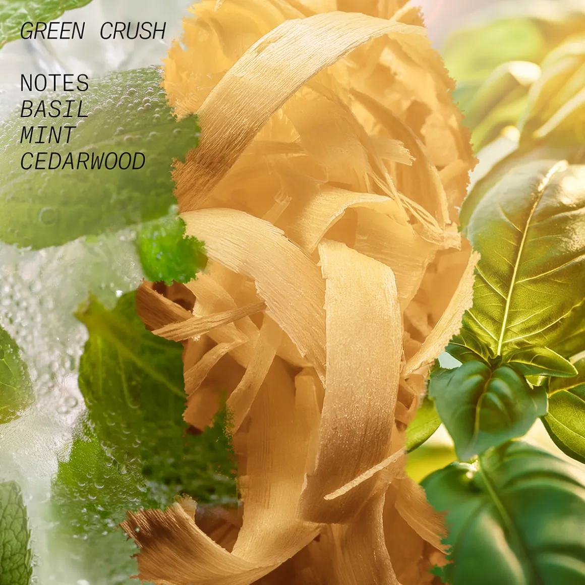 Green Crush Eau de Parfum 100ml