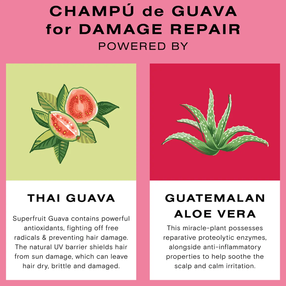 Guava Protect & Repair Shampoo 250ml