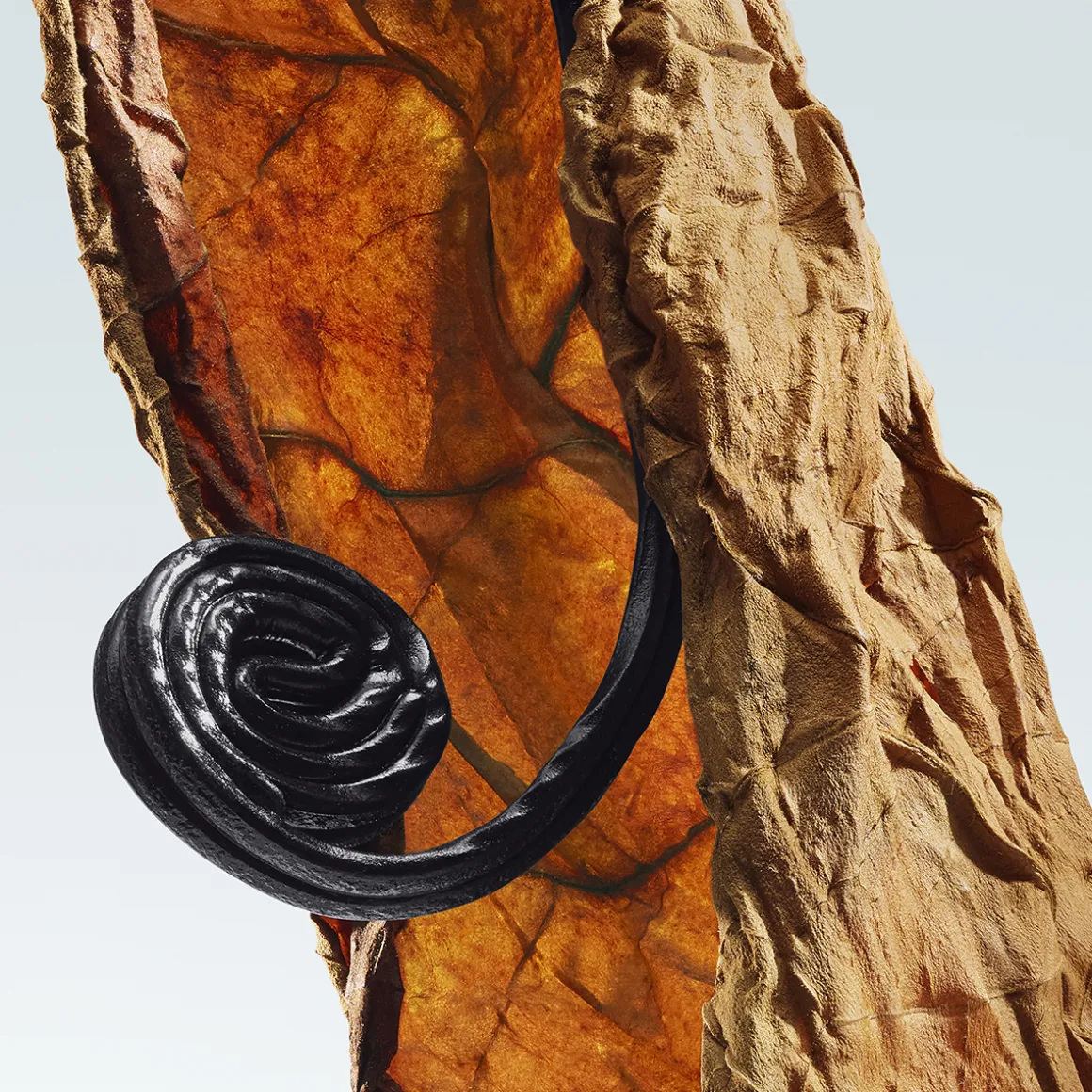 Havana Gold Eau de Parfum 100ml