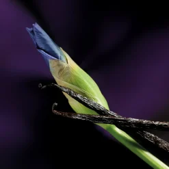 Iris Malikhân Eau de Parfum 30ml