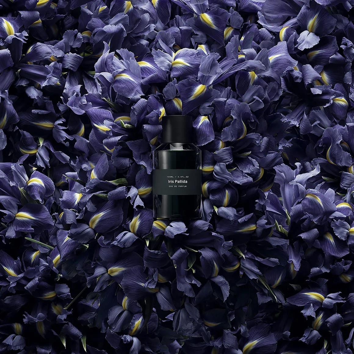 Iris Pallida Eau de Parfum 100ml