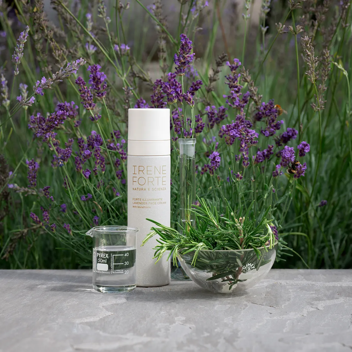Lavender Face Cream 50ml