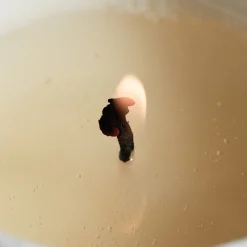 Libra Wild Fig Scented Candle 240gr