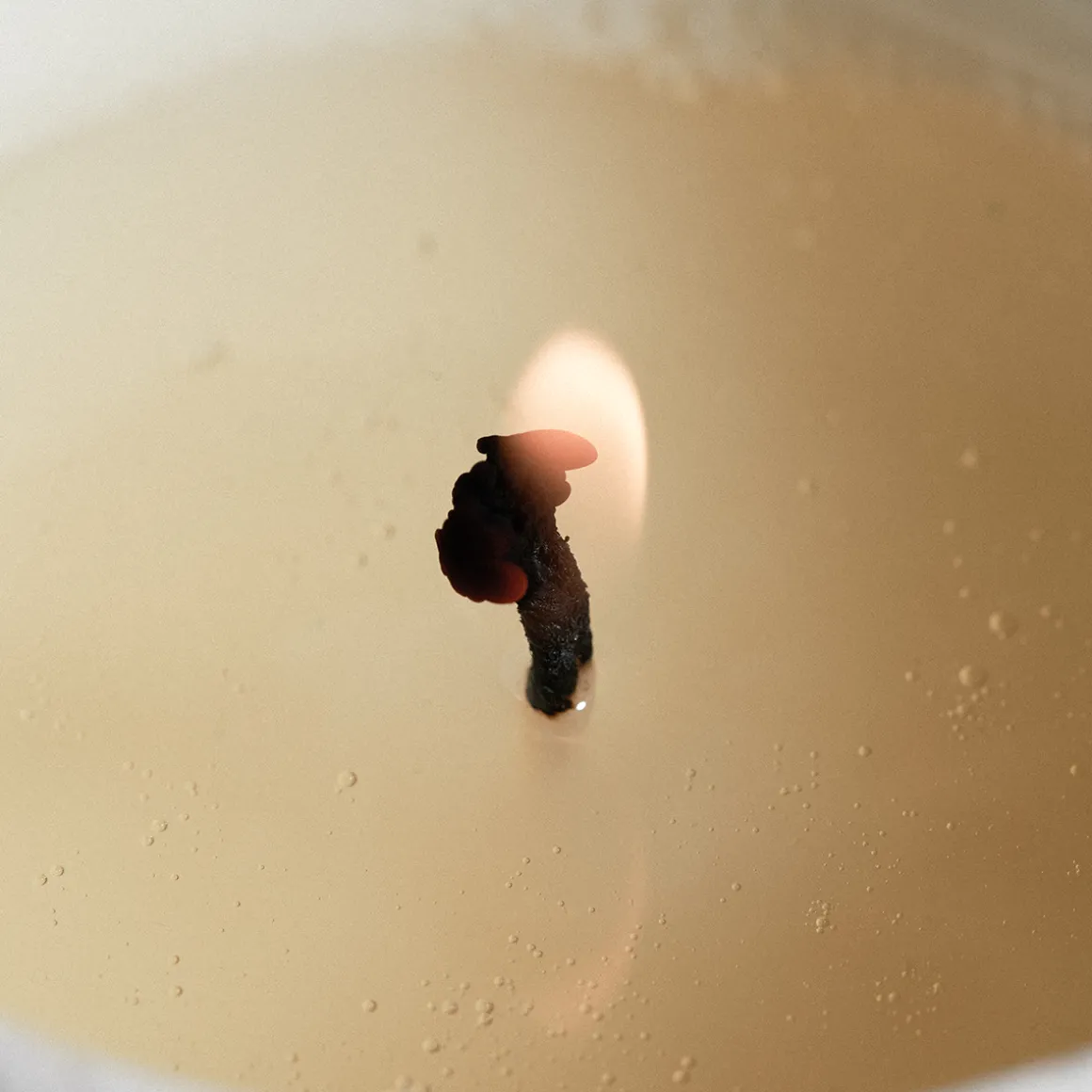 Libra Wild Fig Scented Candle 240gr