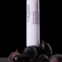 Lip Conditioner 4,5gr