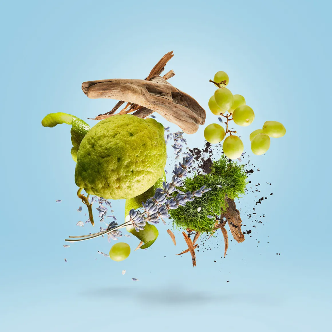 Mefisto Gentiluoma Eau de Parfum 100ml