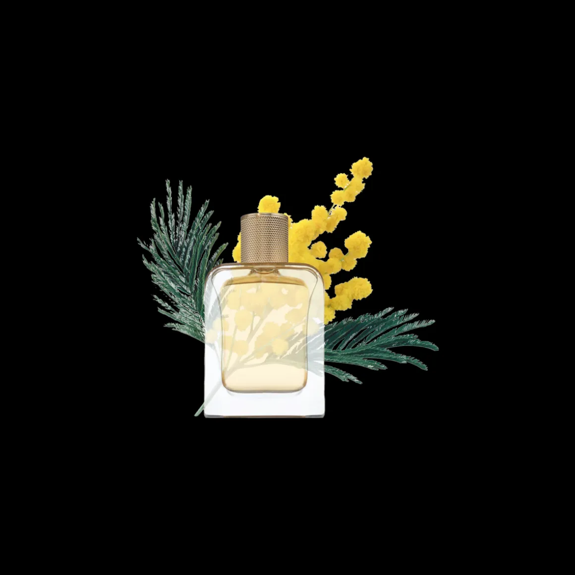 Mimosa In The Air Eau de Parfum 85ml