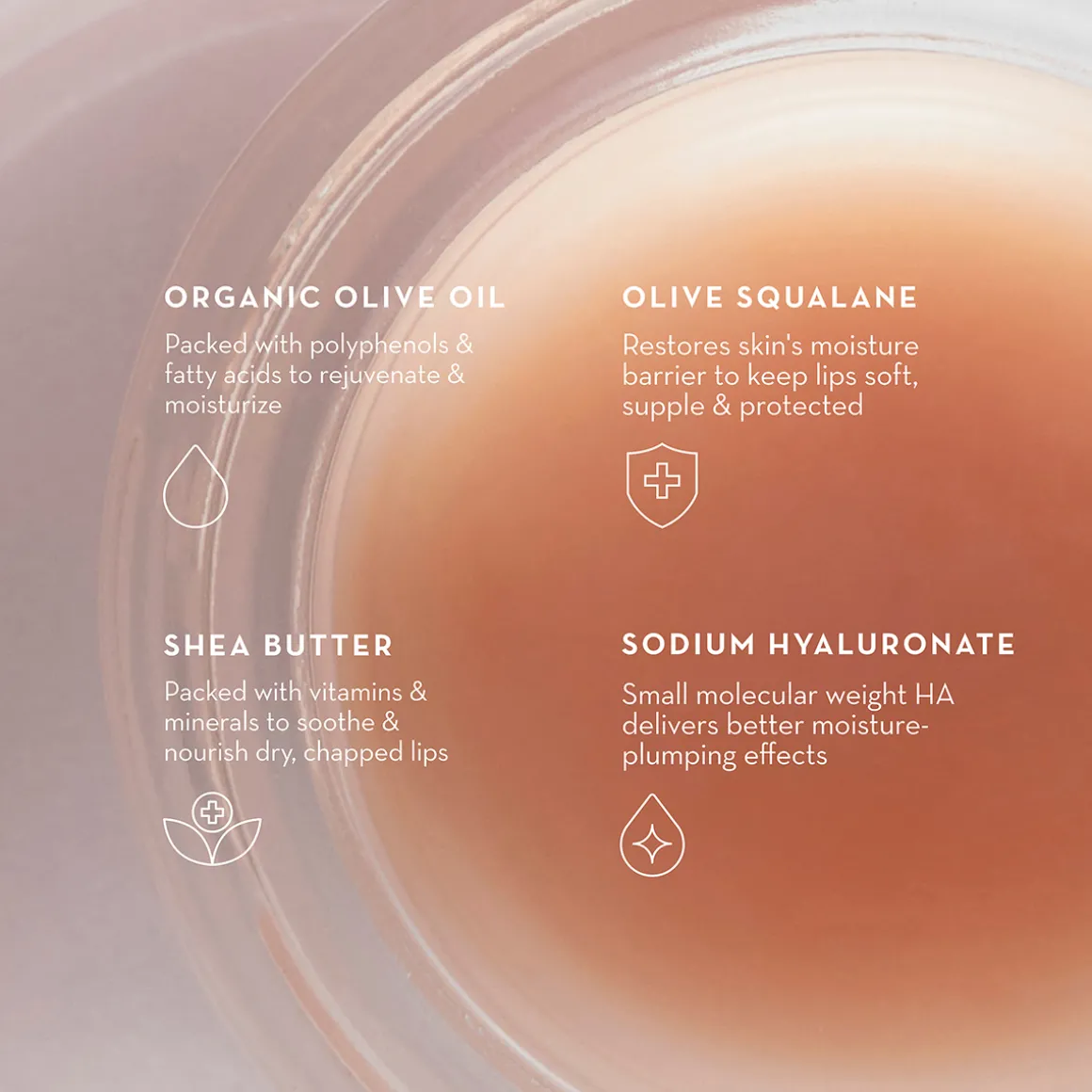 Olive Lip Butter Balm 8ml