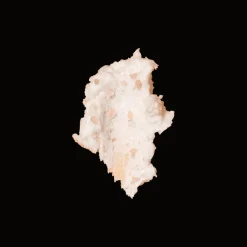 Papaya Scalp Scrub 236ml