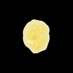 Plum Beauty Oil 30ml