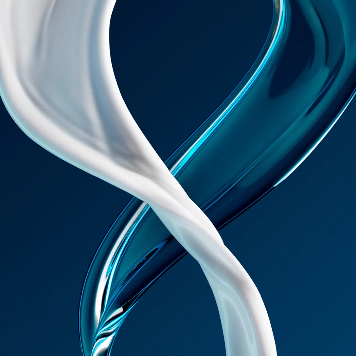 Power Couple Total Transformation Kit