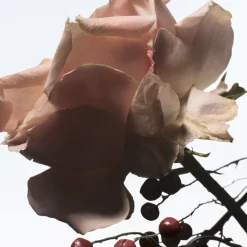 Raving Rose Soap 100gr