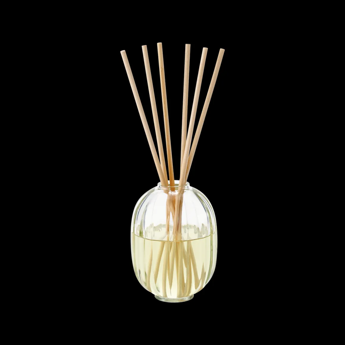 Reed Diffuser Figuier + Refill 200ml