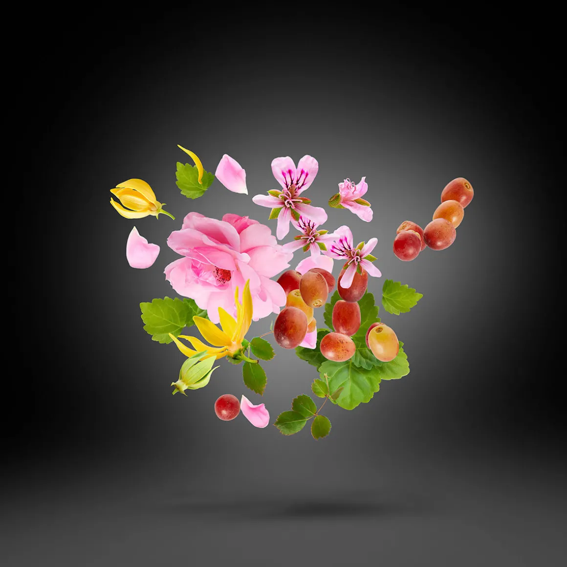 Regio Eau de Parfum 30ml