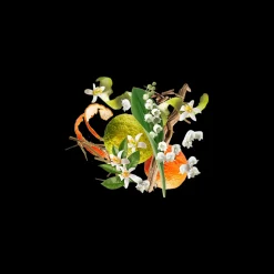 Renaissance Deodorant Spray 100ml