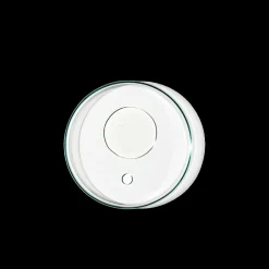 Restorative Body Oil 100ml