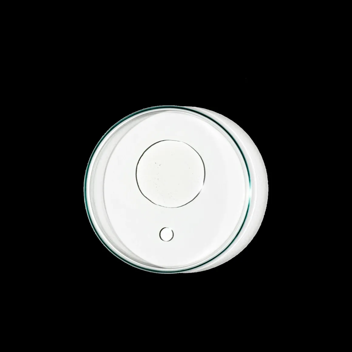 Restorative Body Oil 100ml