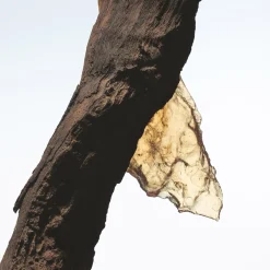 Rock The Myrrh Eau de Parfum Refill 200ml