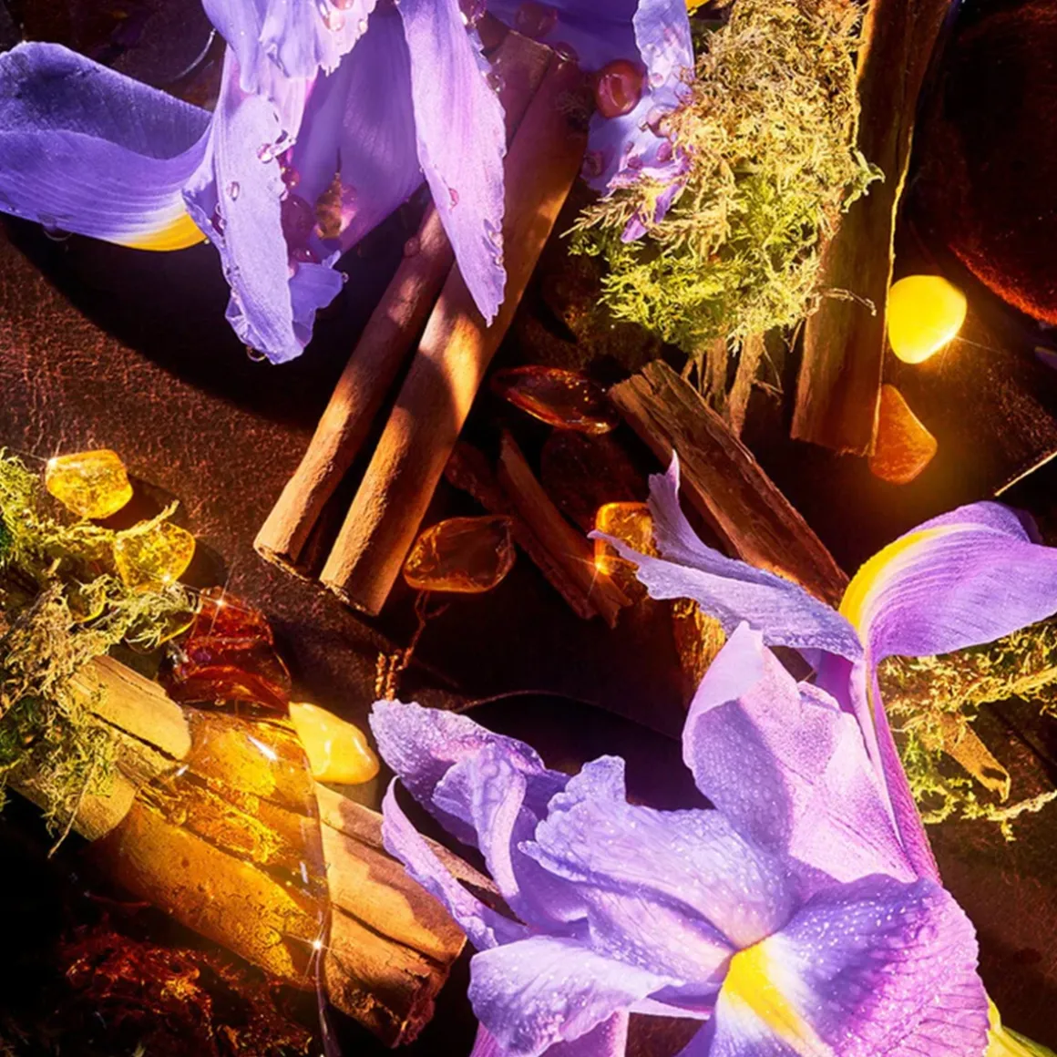 ROJA Haute Luxe Parfum 100ml