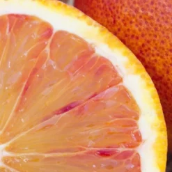 Rose Saltifolia Eau de Parfum 100ml