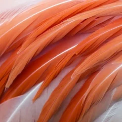 Rose Saltifolia Eau de Parfum 100ml