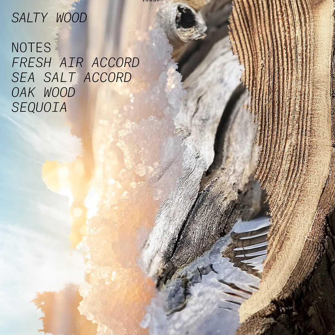 Salty Wood Eau de Parfum 15ml