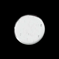 Self Control Hair Gel 150ml