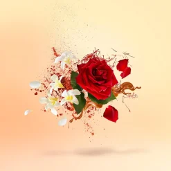 Shooting Stars La Capitale Eau de Parfum 50ml