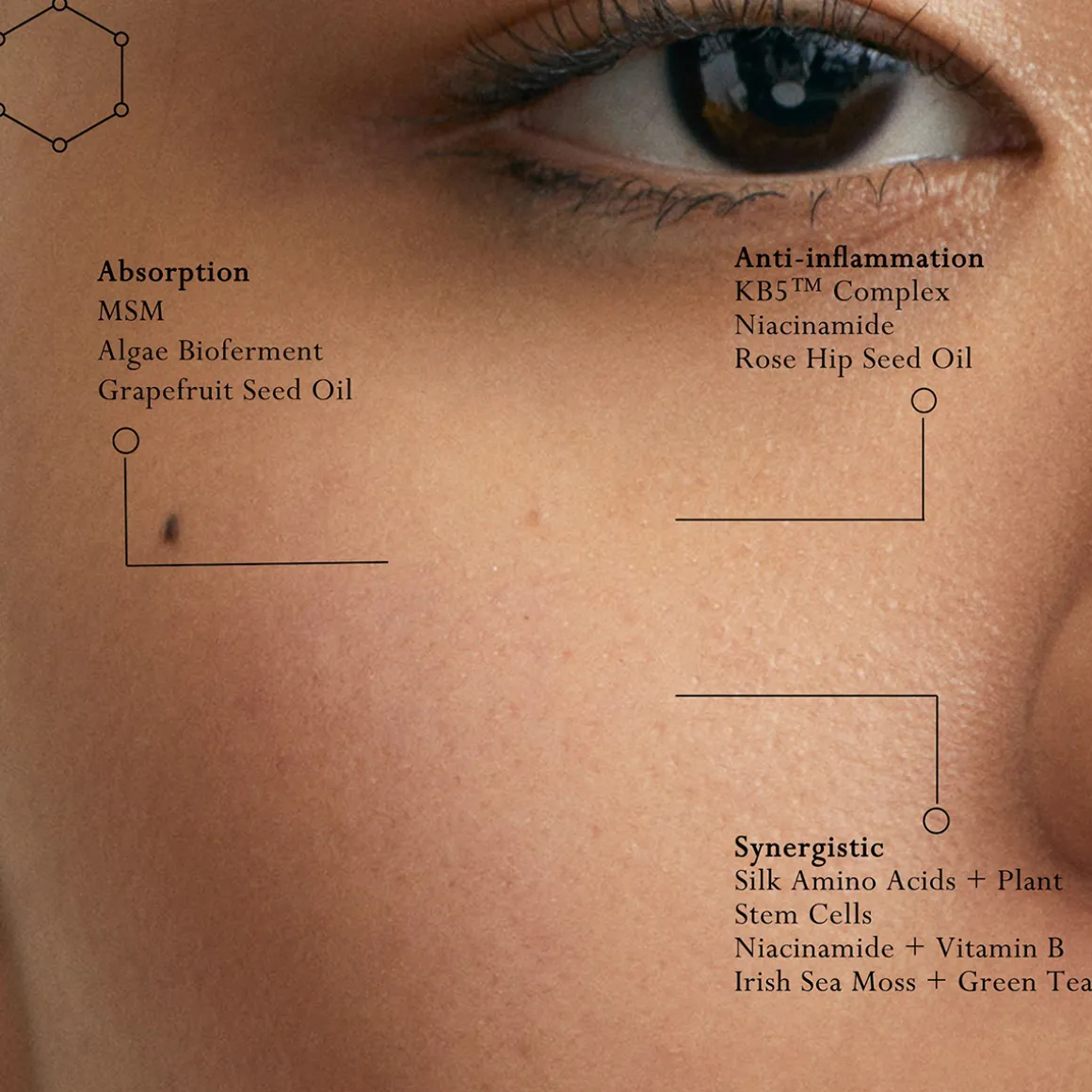 Silk Protein Primer 30ml